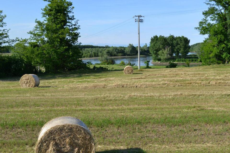 Agriturismo Il Campagnino Кремона Екстер'єр фото