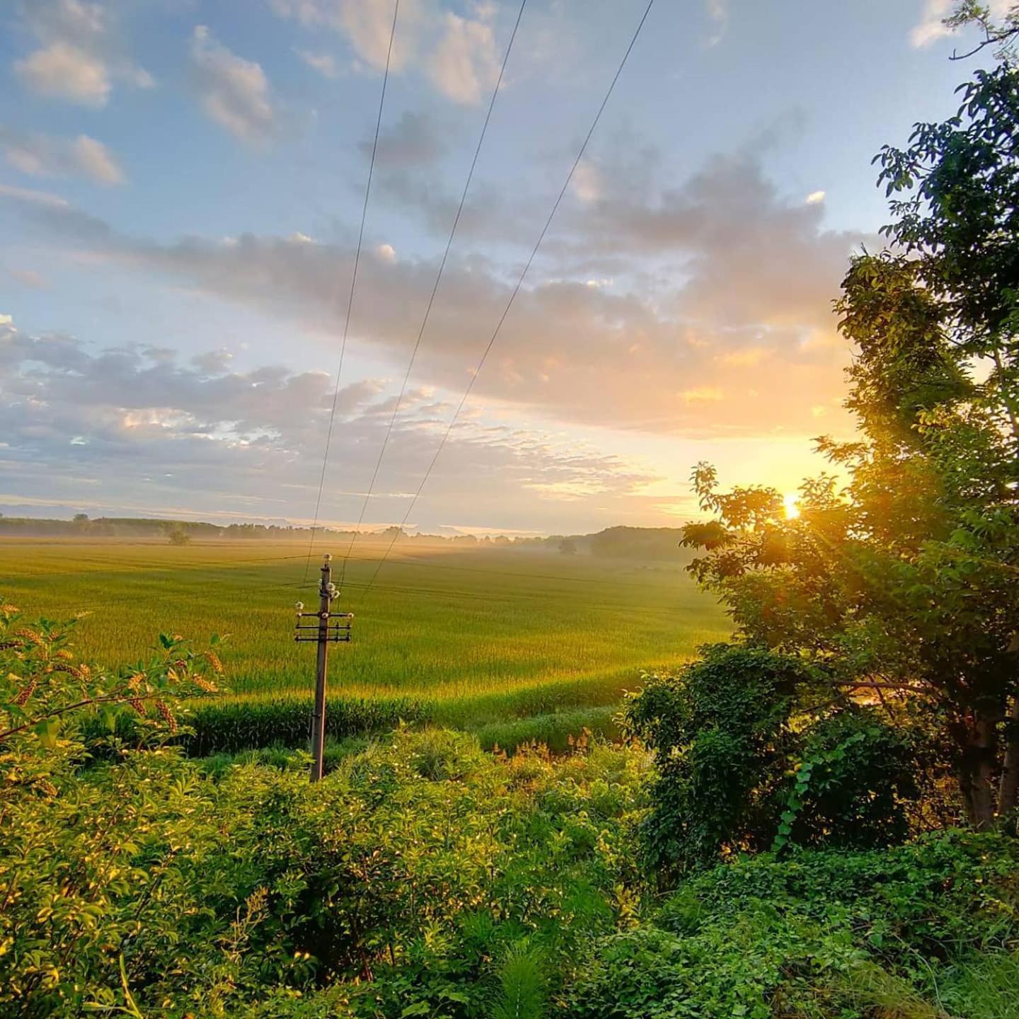 Agriturismo Il Campagnino Кремона Екстер'єр фото